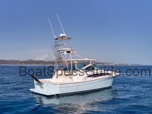 Bertram 360 Open specs and reviews 